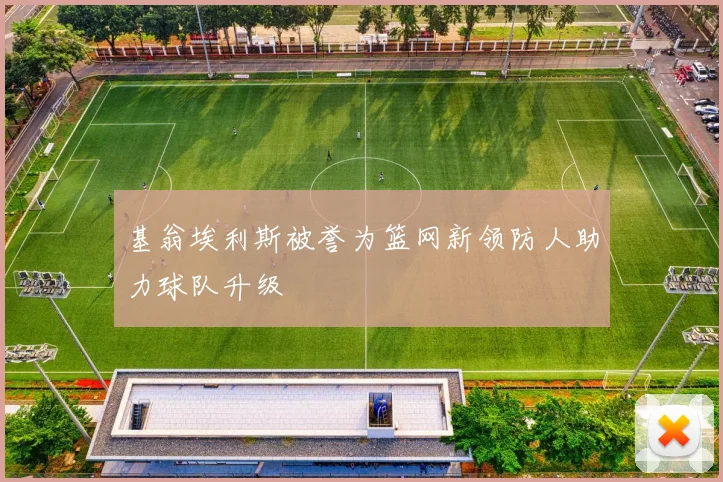 基翁埃利斯被誉为篮网新领防人助力球队升级