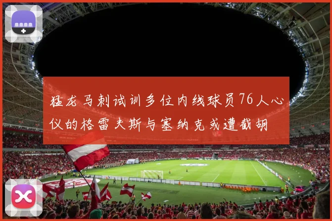 猛龙马刺试训多位内线球员76人心仪的格雷夫斯与塞纳克或遭截胡